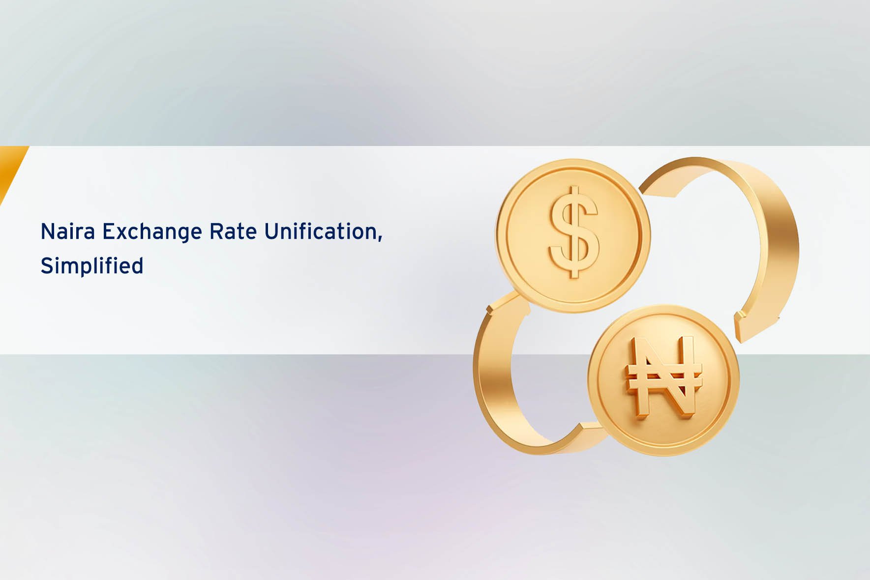Simplified Naira Exchange Rate Unification